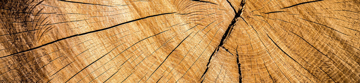 Luxembourg wood value chain