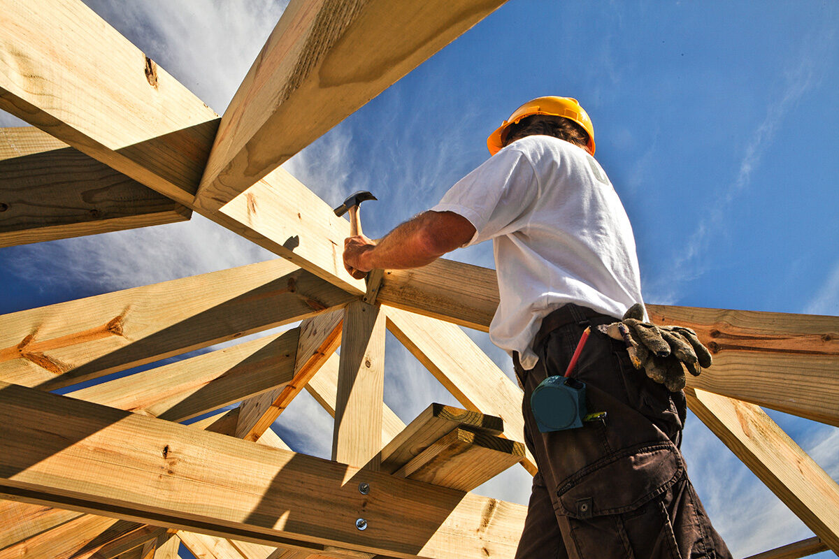 wood value chain 